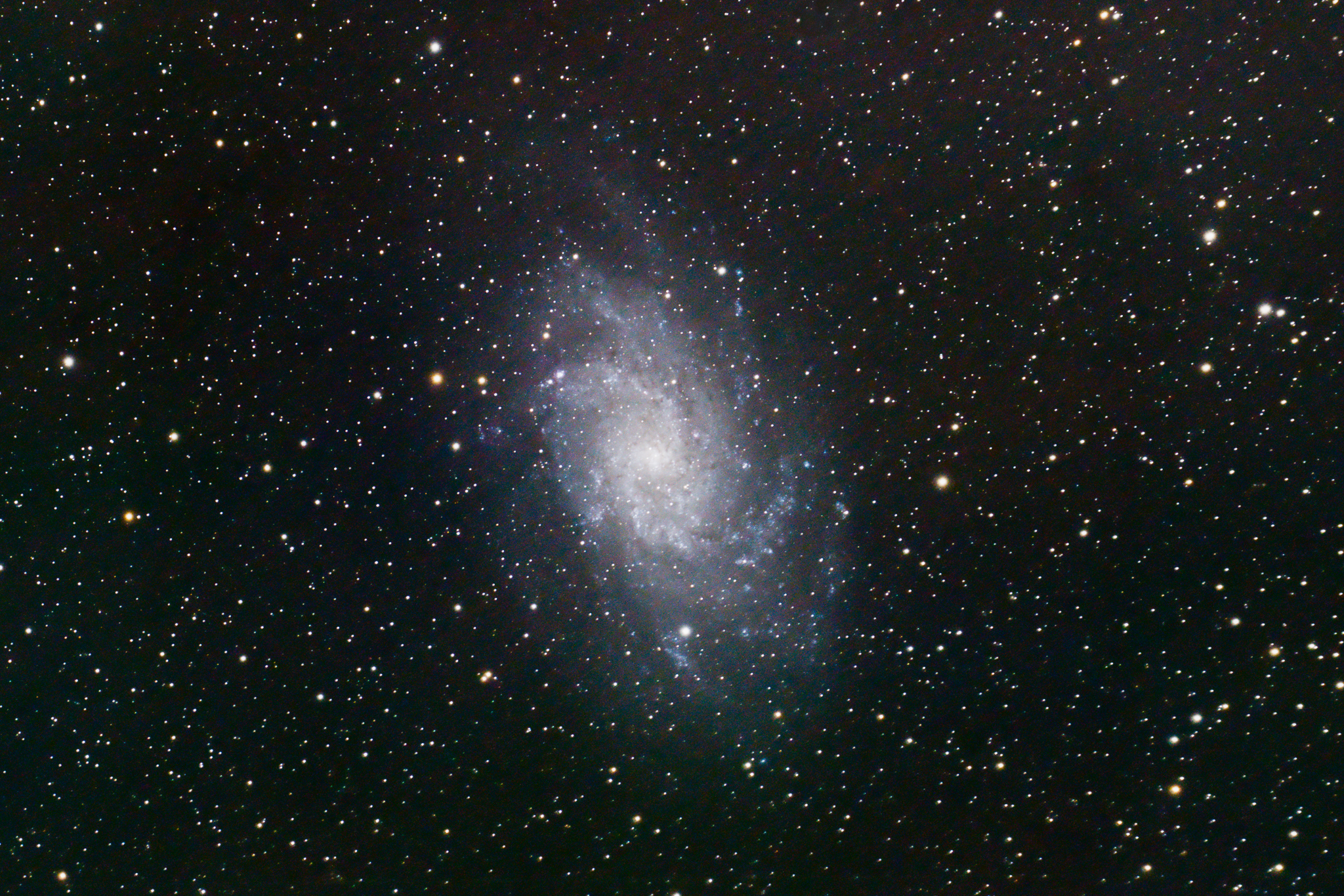 Meeting Photo Slide Show